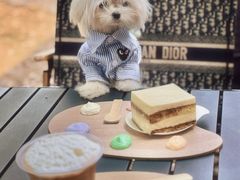 -J Create城市露营咖啡·简餐·宠物(上海动物园店)