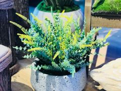 -安吉汽车生活馆(大宁中心广场C3栋店)