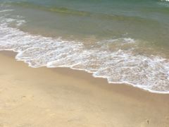 -西涌国际滨海旅游区