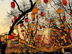 -龙湖星悦荟(颐和店)