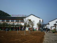 -长兴慧子土特产茶行