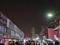 -中环花鸟鱼虫市场
