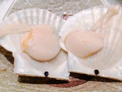 扇贝-阳光岛·海鲜盛宴(银泰中心in99店)