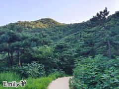 -北京西山国家森林公园