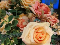 -百武西(北京apm店)