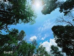 -寂照庵
