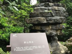-南山植物园
