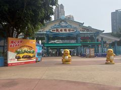 -海合安成都极地海洋公园