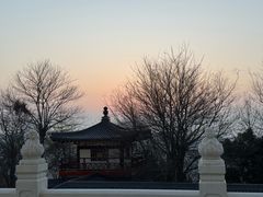 -庐山风景名胜区-东林大佛