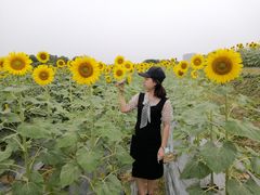 -光明小镇欢乐田园