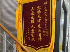 -瑞派天使宠物医院·神经外科·骨科·核磁(洛川中路店)