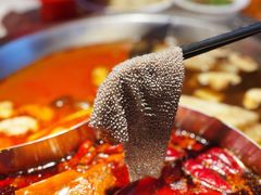 -大龙燚火锅(天钥桥路店)