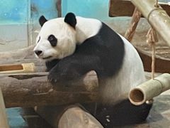 -柳州市动物园