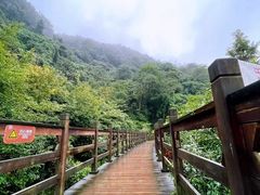 -凤栖山