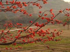 -风云岭森林公园