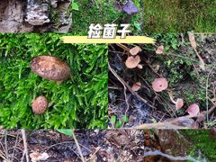 -寂照庵