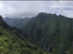 -武陵山森林公园