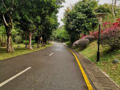 -深圳国际园林花卉博览园