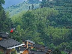 -杨家堂村