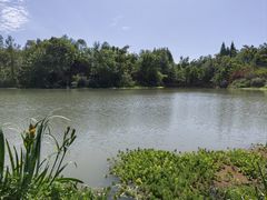 -桤木河湿地公园