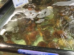-盒马渔市餐厅