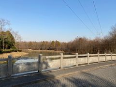 -上海海湾国家森林公园