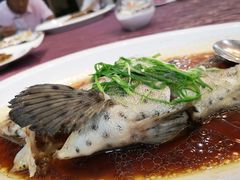 -欢乐海岸美食联盟