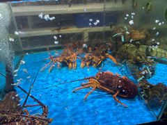 -蟹之国·精品蟹料理(极地店)