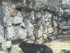-黔灵山公园