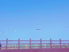 -盐城丹顶鹤湿地生态旅游区