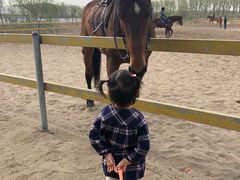 -月河湾马术俱乐部(朝阳店)