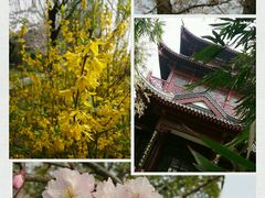 -堤角公园