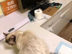 -派联宠物医院·24h·CT·异宠
