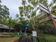-广州市流溪河国家森林公园