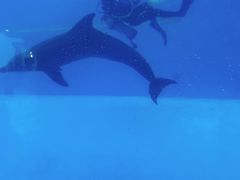 -横琴湾水世界
