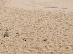 -黄沙古渡原生态旅游区