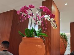 -第六季自助餐厅(王府井店)