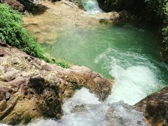-南海湾森林生态园