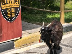 -日月山景区