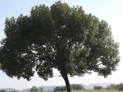 -良渚古城遗址公园