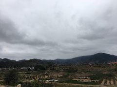 -福建土楼（华安）旅游区•大地土楼群