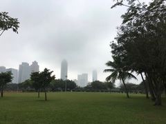 -万绿园