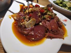 -守柴炉烤鸭(成都大邑店)