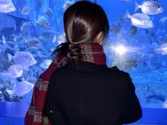 -厦门海底世界