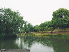 -梁鸿国家湿地公园