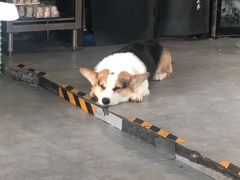 -阿尔法海鲜排档(爱琴海店)