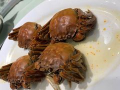 清蒸大闸蟹-海儀美食楼(湾仔海鲜街店)
