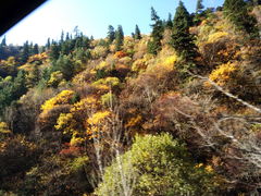 -梭磨河大峡谷