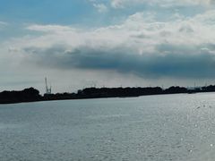 -大湾区中央湿地公园-十九涌