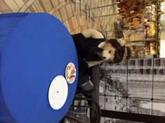 泰迪熊博物馆-济州岛泰迪熊博物馆